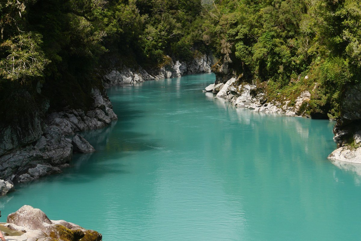 Waitaha River West Coast New Zealand jungle gorge crystal clear water