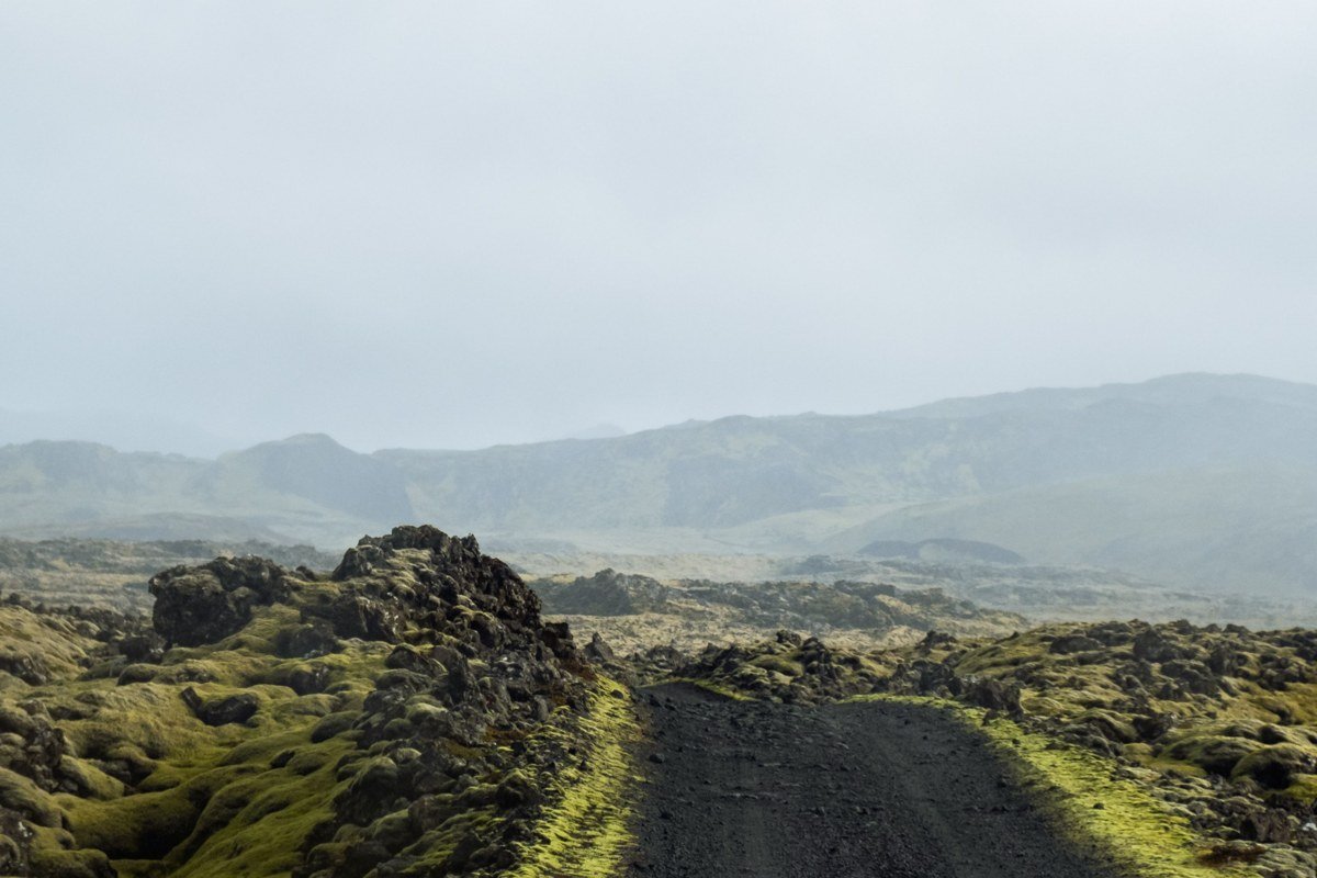 Eldhraun lava field Iceland thick green moss covering volcanic rock foggy