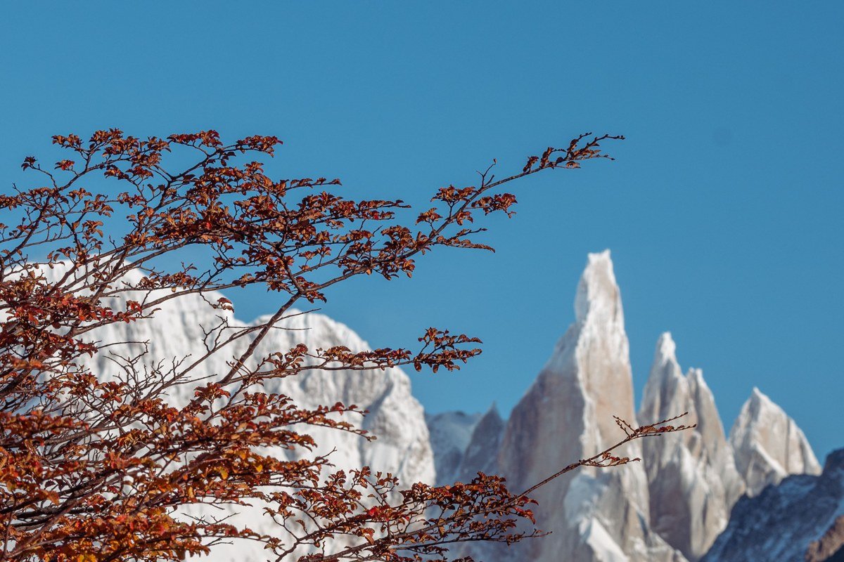 Cerro Castillo Chile basalt castle rock spires trekking trail wildflowers foreground