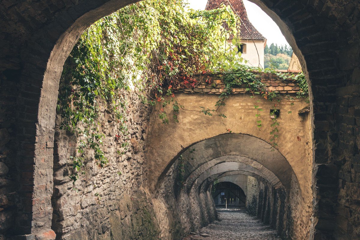 Sighisoara Romania medieval clock tower cobblestone street golden hour