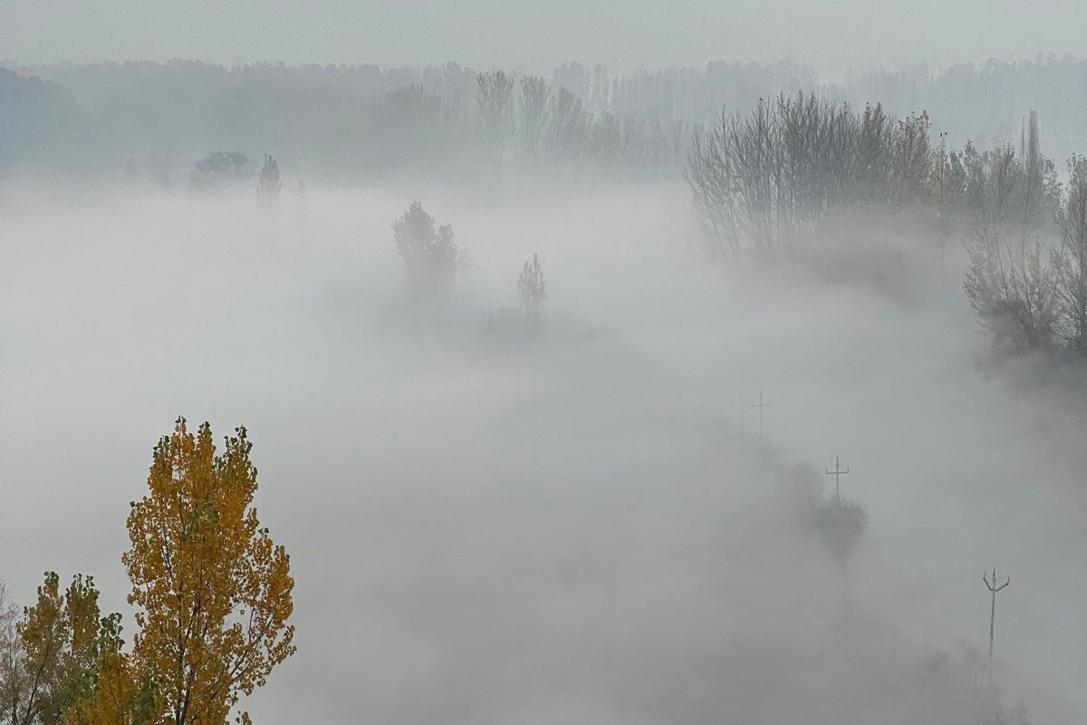 Draa Valley Morocco palmerie fog morning light Agdz kasbah oasis ethereal
