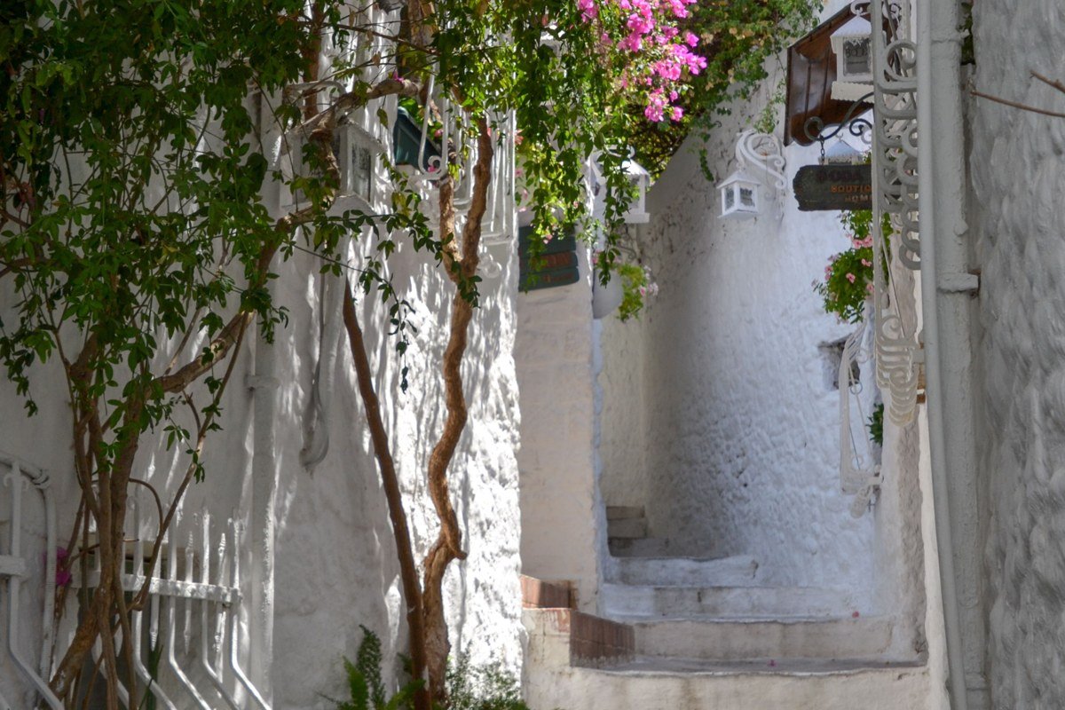 Alonissos Old Village Chora cobblestone alleys Greece bougainvillea blue shutters