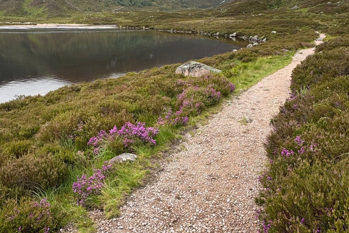 Loch Stack Sutherland Scotland with Arkle mountain reflection and heather moorland