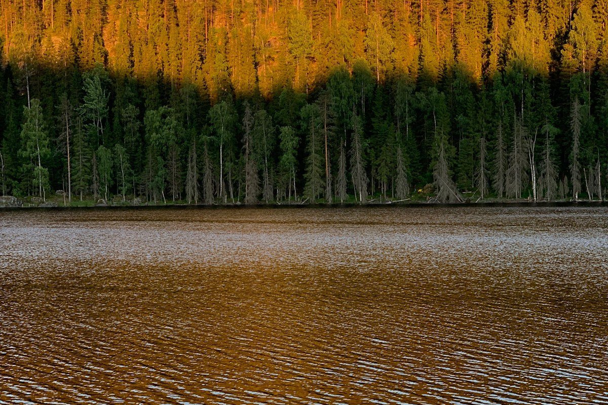 Loch Tollaidh Wester Ross Scotland pine trees rocky islands golden hour reflection