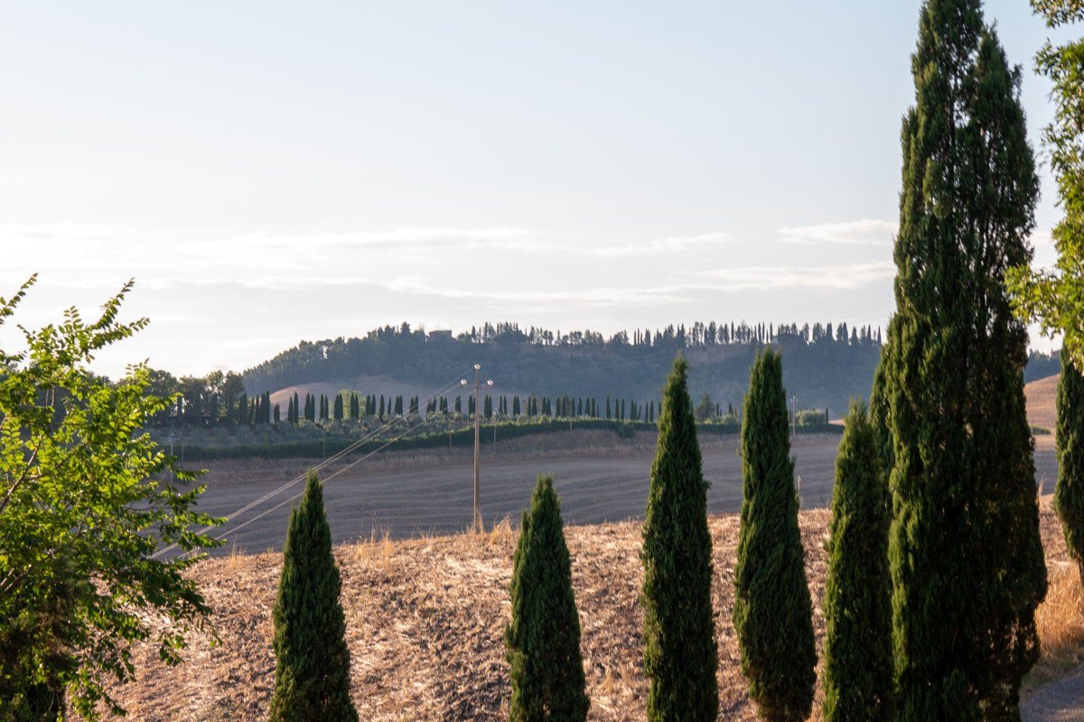 Pienza Italy Val d'Orcia hilltop town morning mist cypress avenue Tuscany