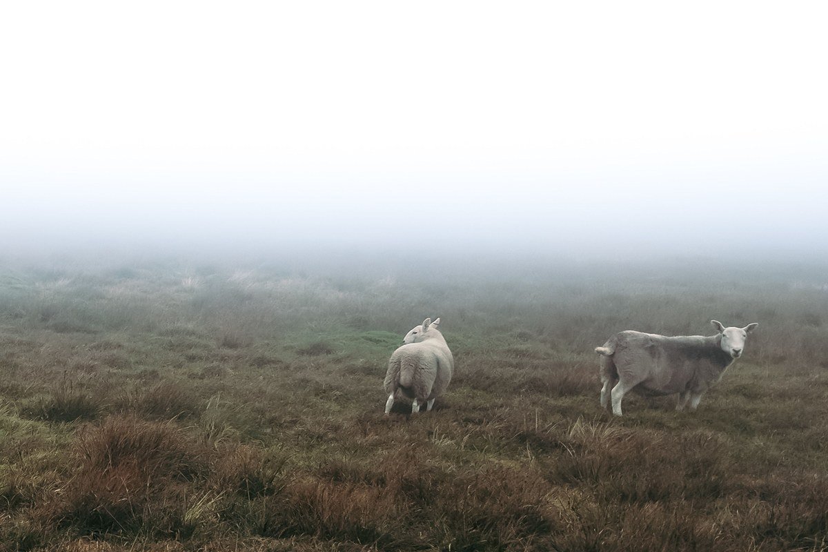 Ettrick village Scotland isolated valley church sheep fields mist Border hills