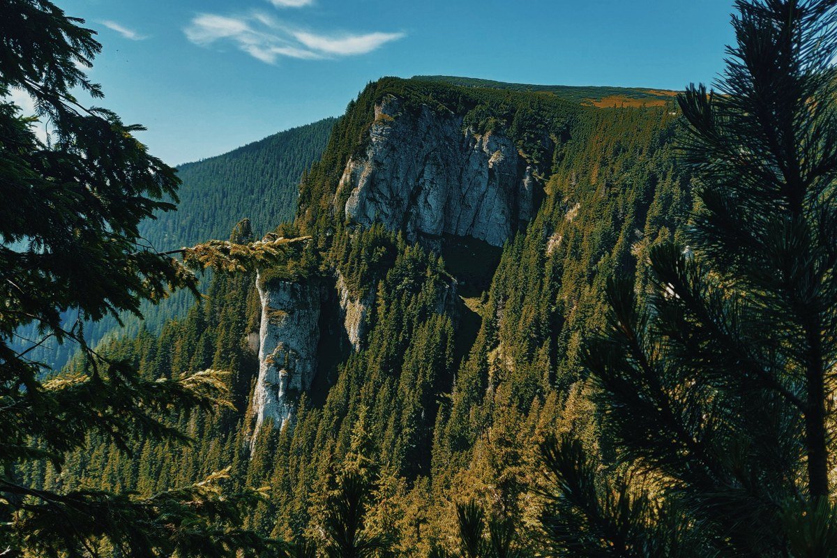 Romania Apuseni mountains river canyon forest rafting autumn foliage Transylvania