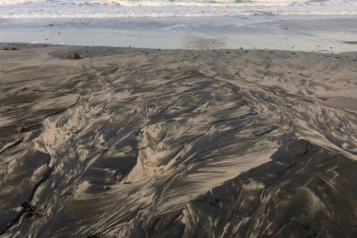 Haystack Rock at low tide in October, long shadows crossing the wet sand, a cluster of tide pool visitors visible at its base