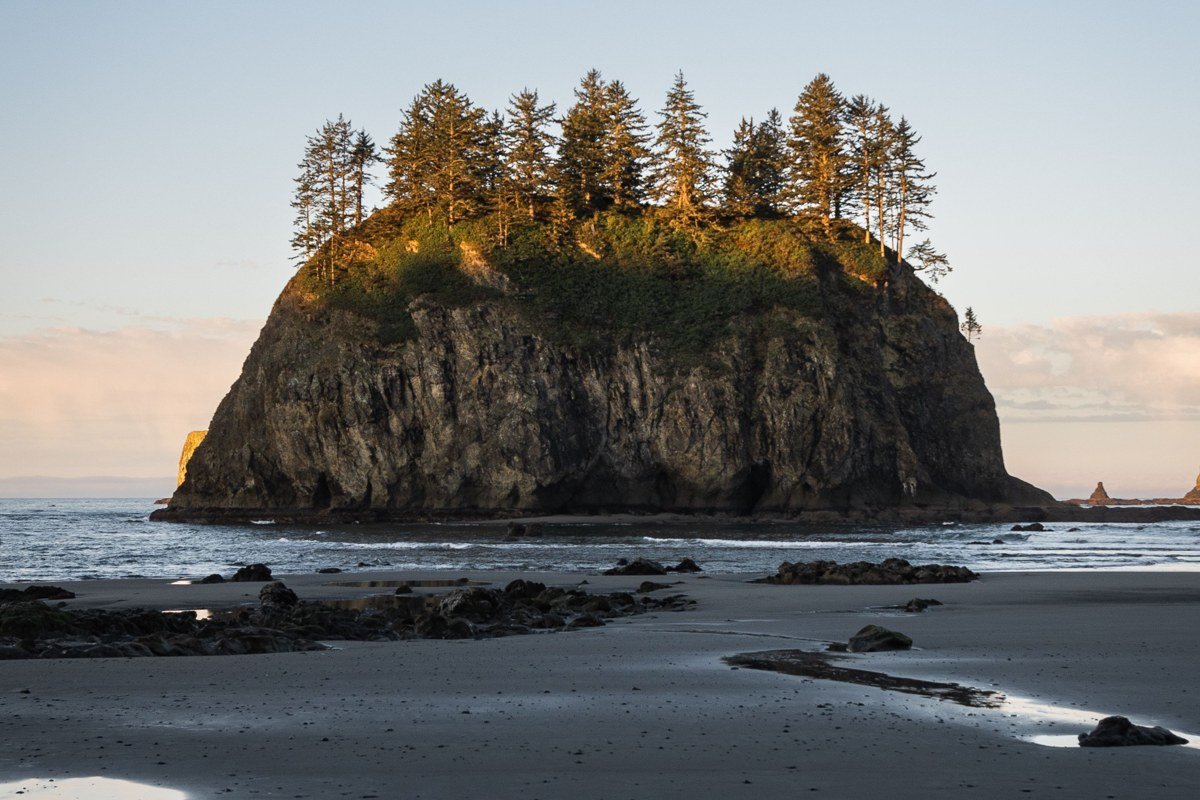 First Beach at La Push, sea stacks rising from the surf with rainforest-covered headlands behind, soft diffused light through low cloud
