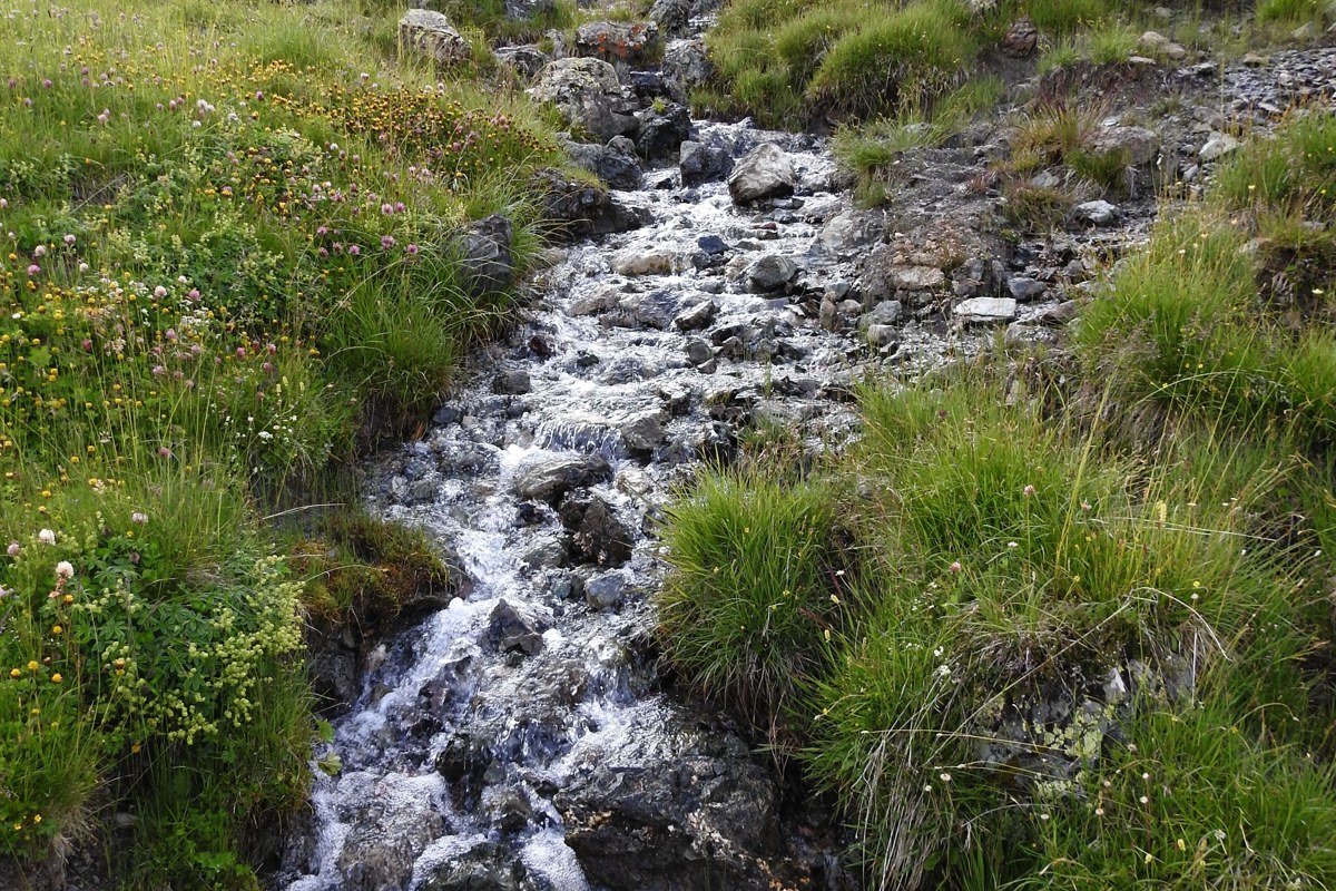 Chimanimani Mountains Zimbabwe hiker crossing stream mossy quartzite cliffs wildflowers
