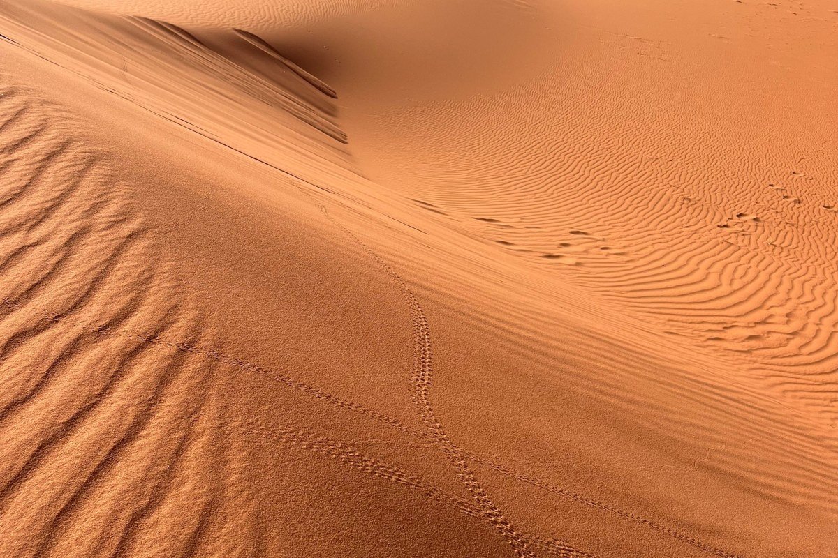 Tassili n'Ajjer Algeria sandstone rock formations desert canyon ancient cave paintings orange dunes