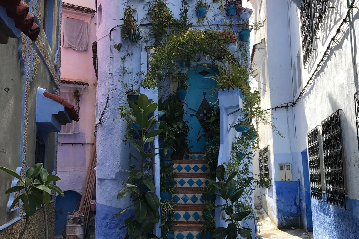 A narrow Chefchaouen medina staircase lane in mid-afternoon, walls painted in two distinct shades of blue with a white geometric trim at foot level. A shaft of direct sunlight cuts diagonally across the steps. Bougainvillea in the upper right corner. Shoot at f/8 or tighter to hold sharpness across the entire depth of the lane. Avoid weekends in April and May when this lane is crowded.