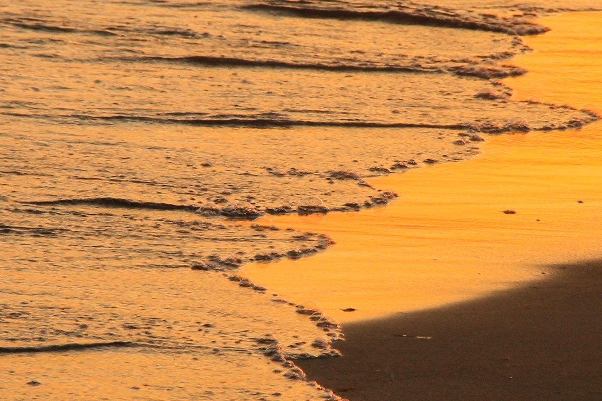 lateral golden light at midsummer midnight catching Am Buachaille sea stack and pink sand, Sandwood Bay Sutherland Scotland