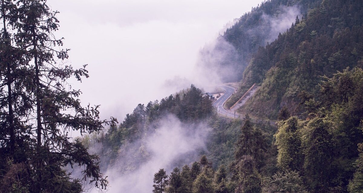 8 Misty Destinations in New Zealand That Give Scotland Highlands Energy on the Other Side of the World