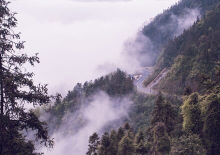 8 Misty Destinations in New Zealand That Give Scotland Highlands Energy on the Other Side of the World