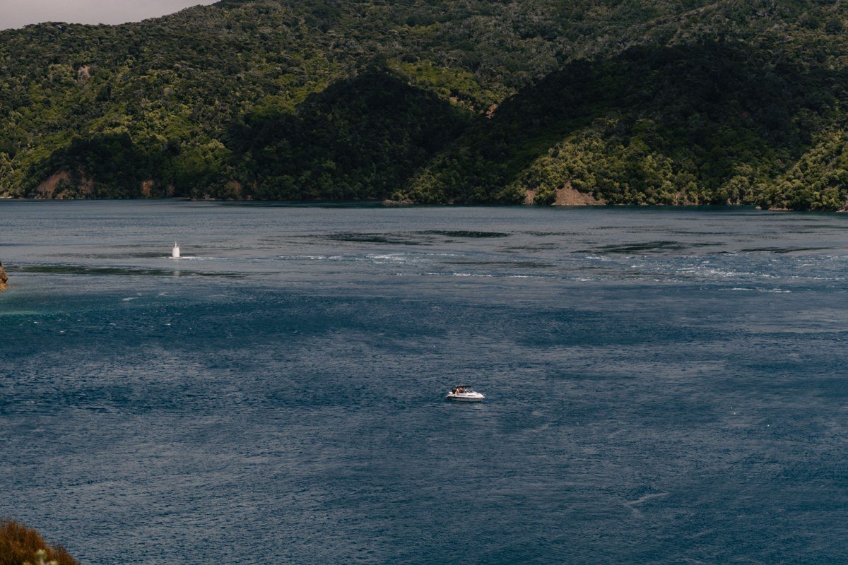 Marlborough Sounds, Top of the South Island