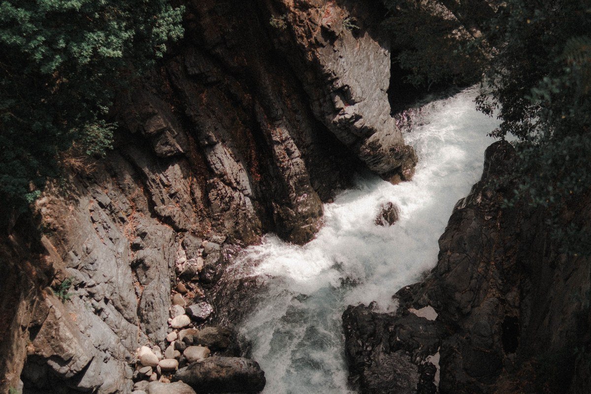 Pumalin Park Chile ancient alerce forest misty rainforest river gorge lush green
