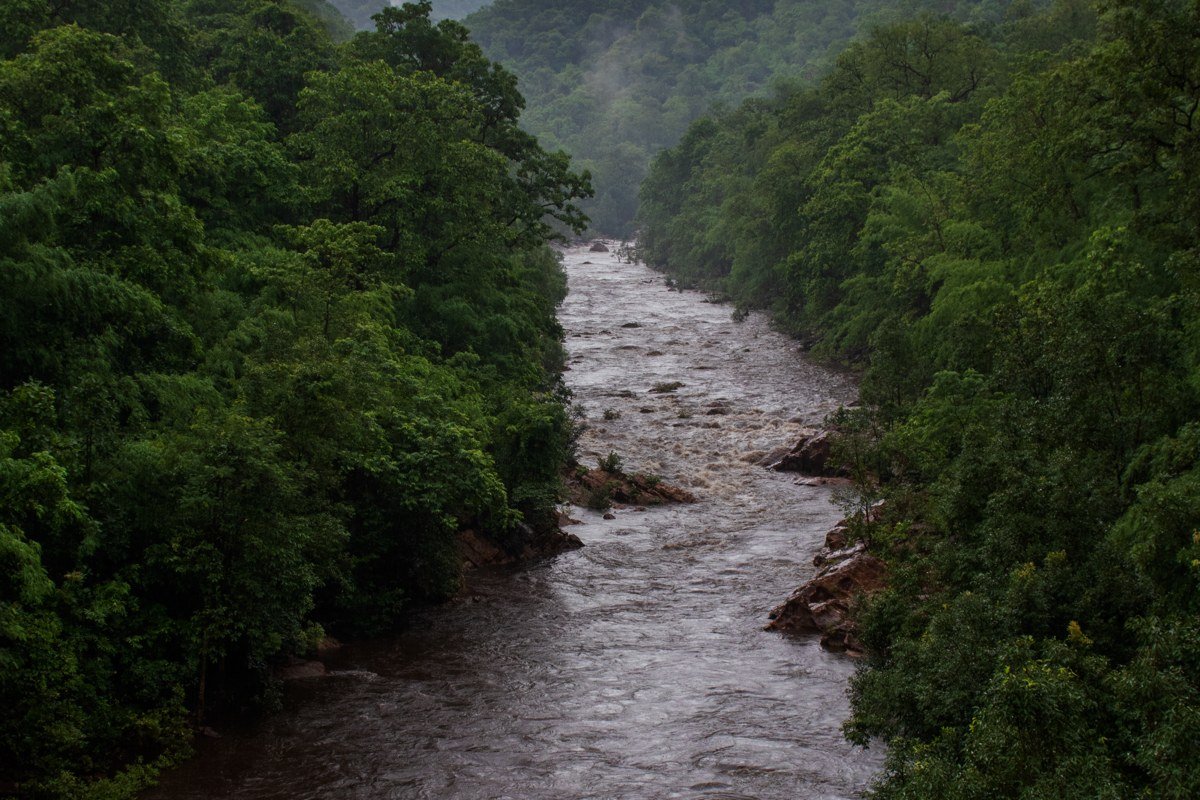 Rio Palena Chile remote river rafting dense temperate rainforest untouched wilderness aerial
