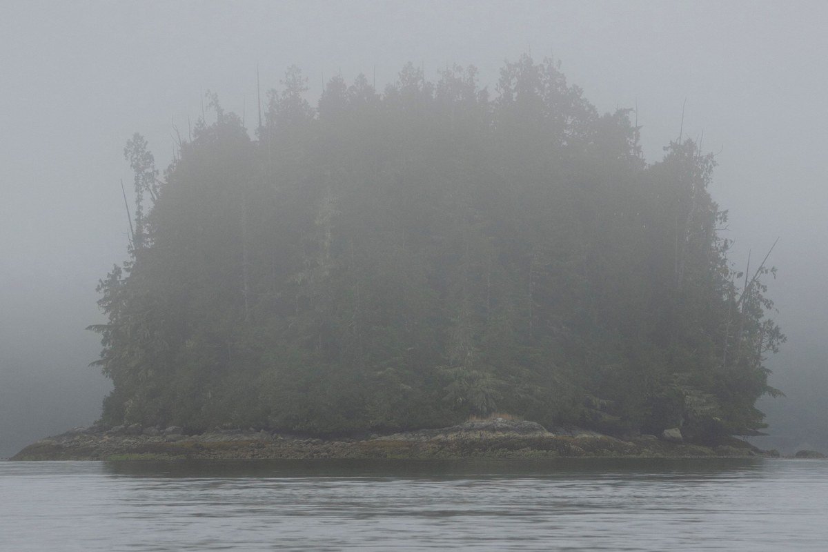Pacific Northwest scenic coastal highway foggy cliffs ocean summer