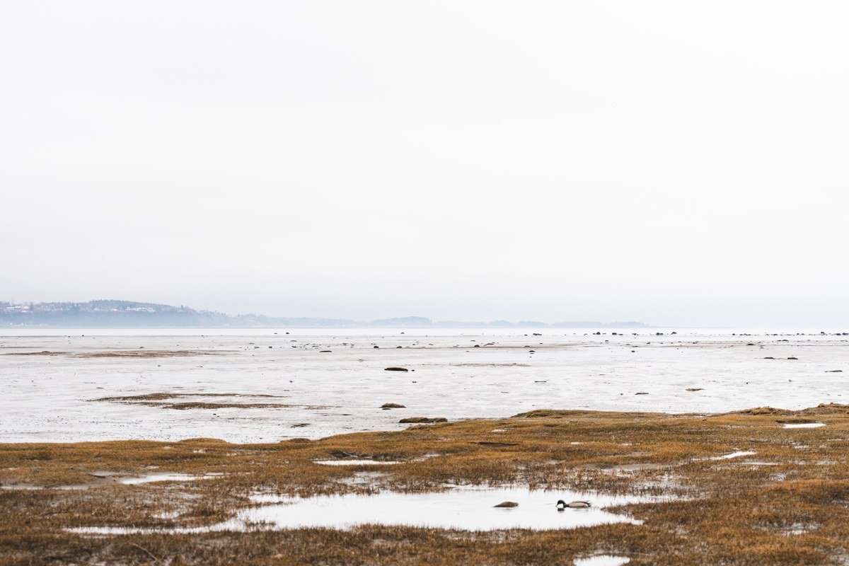 La Push Washington First Beach sea stacks moody fog low tide
