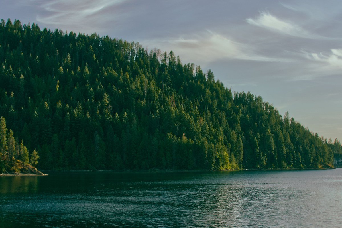 Sekiu Washington Strait of Juan de Fuca calm water forested bluffs summer