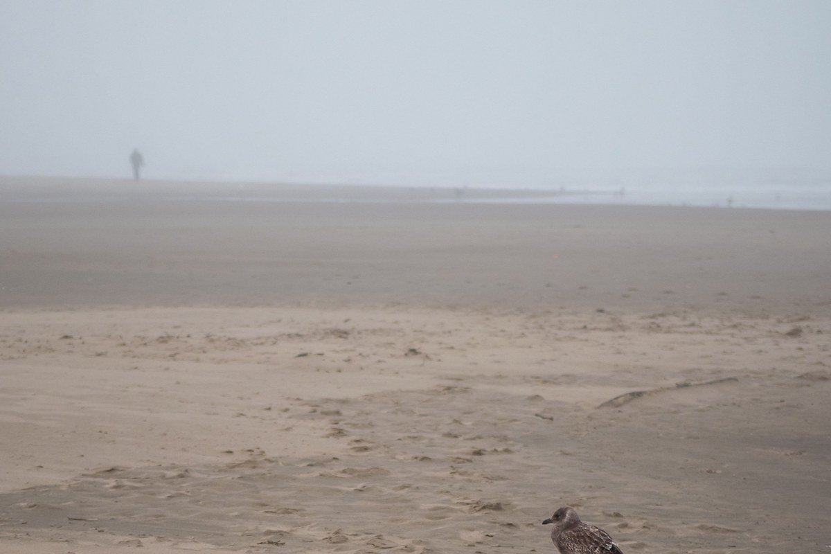 Manzanita Oregon beach Neahkahnie Mountain coastal fog morning walk