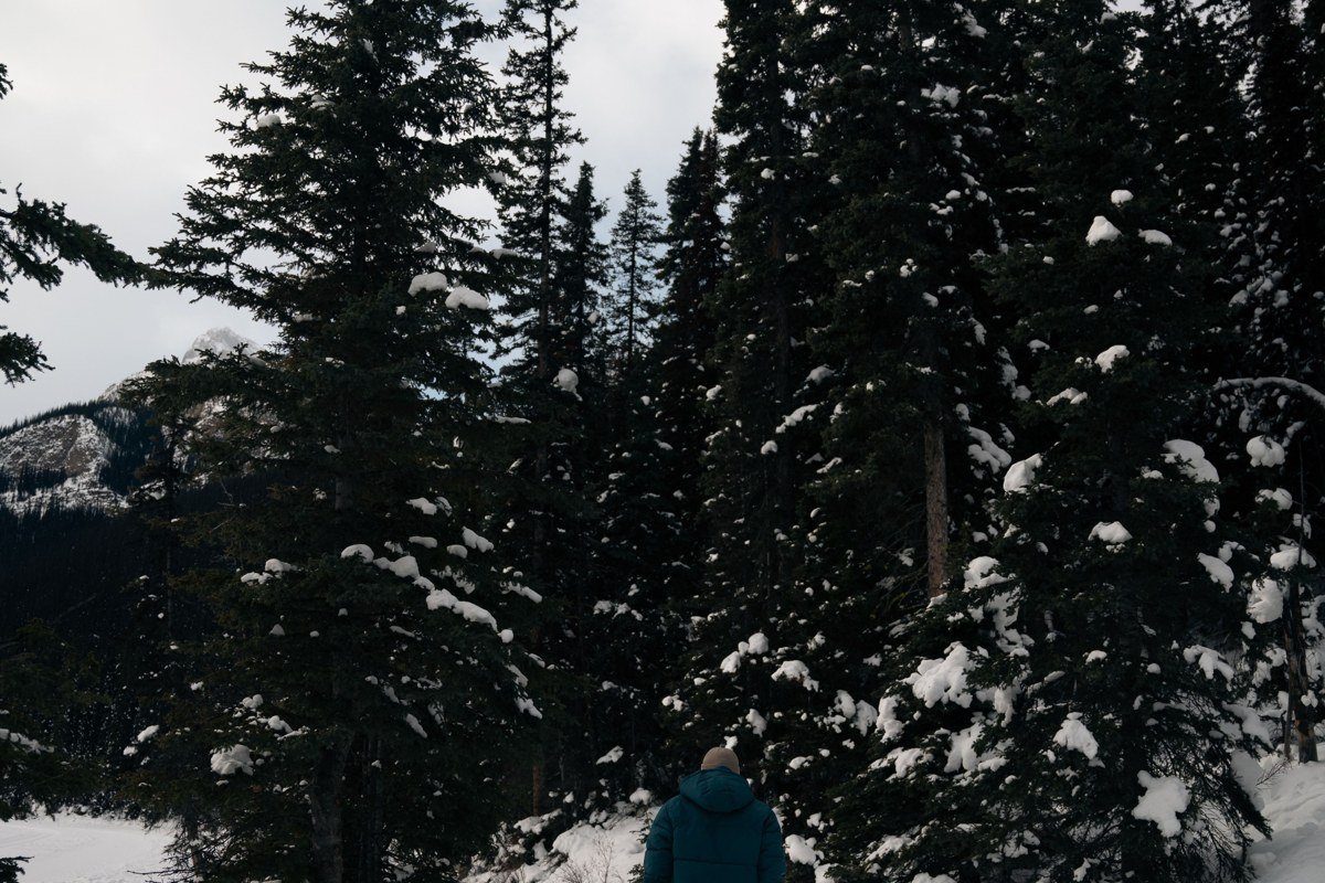 Maligne Canyon Jasper Alberta winter ice walk frozen canyon blue ice