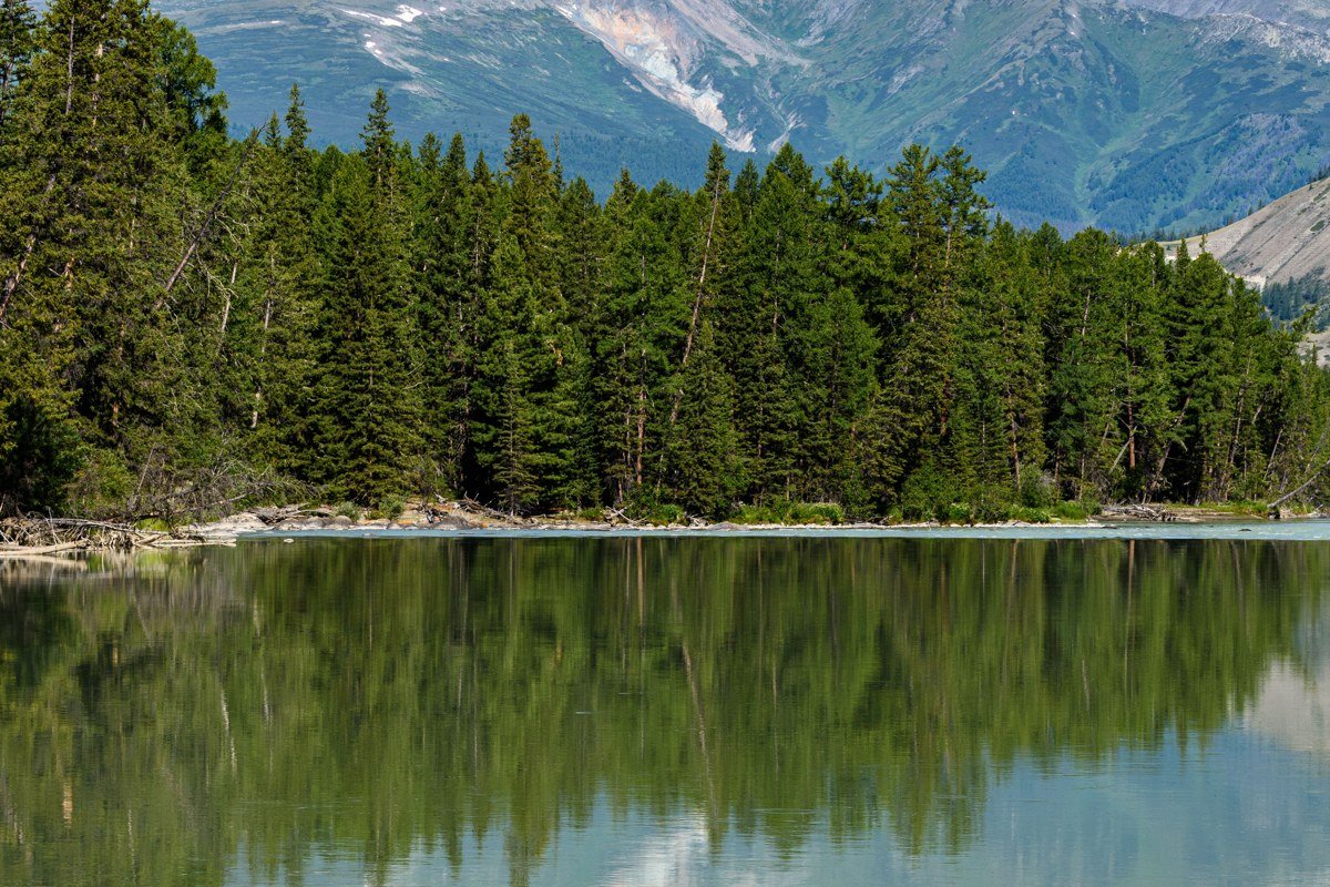 Bigfork Montana Flathead Lake Swan River bay wildflowers summer mountain reflection