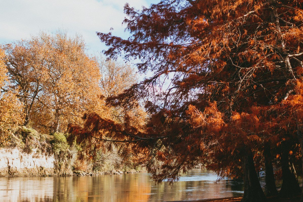 New Braunfels Texas Comal River cypress trees tubing summer Texas Hill Country