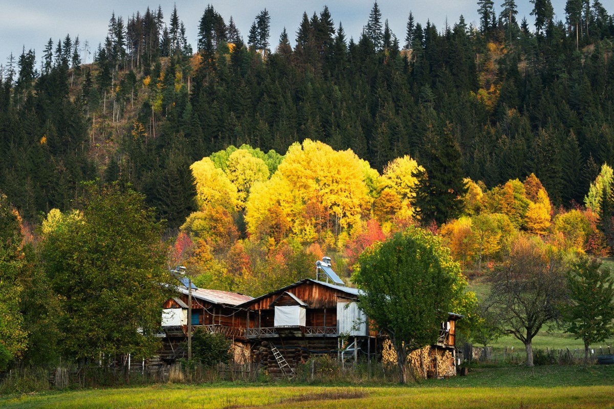 Elkins West Virginia Monongahela National Forest fall foliage spruce knob high elevation meadow with rustic cabin