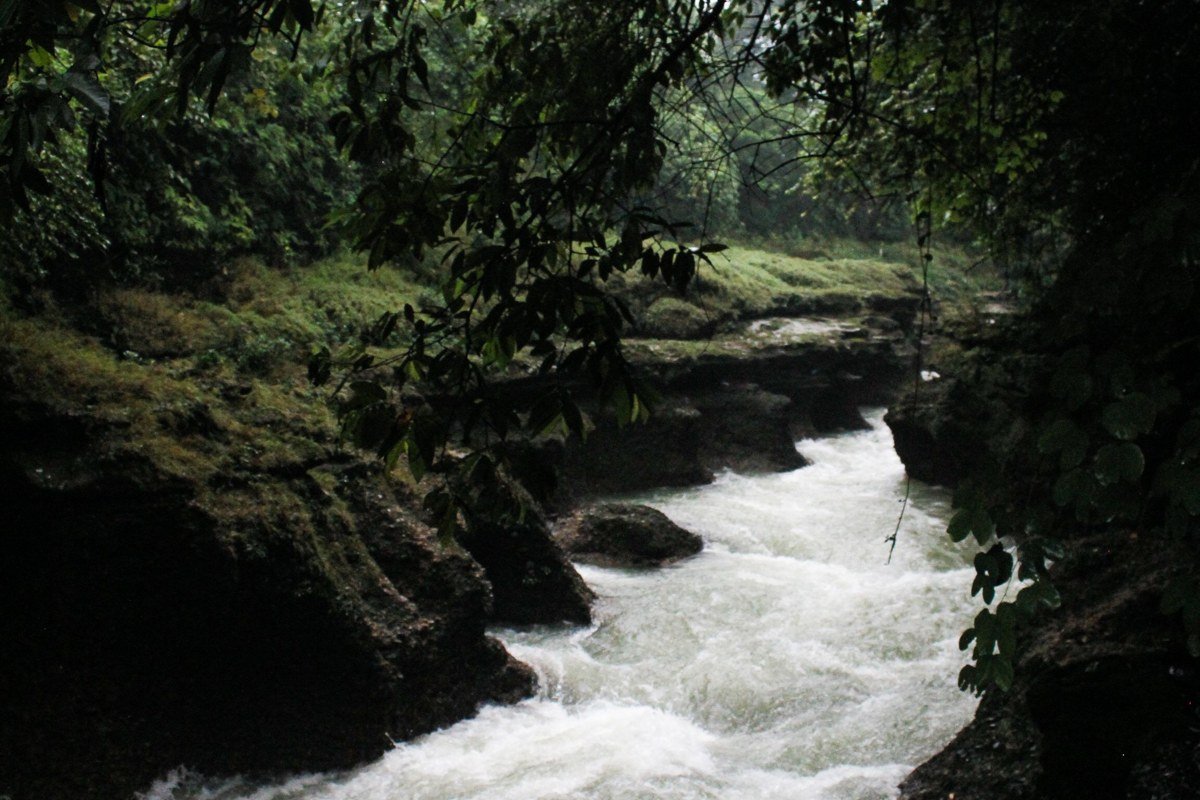 Pacuare River canyon walls draped in moss with morning mist rising above a raft mid-rapid, dense rainforest canopy closing overhead