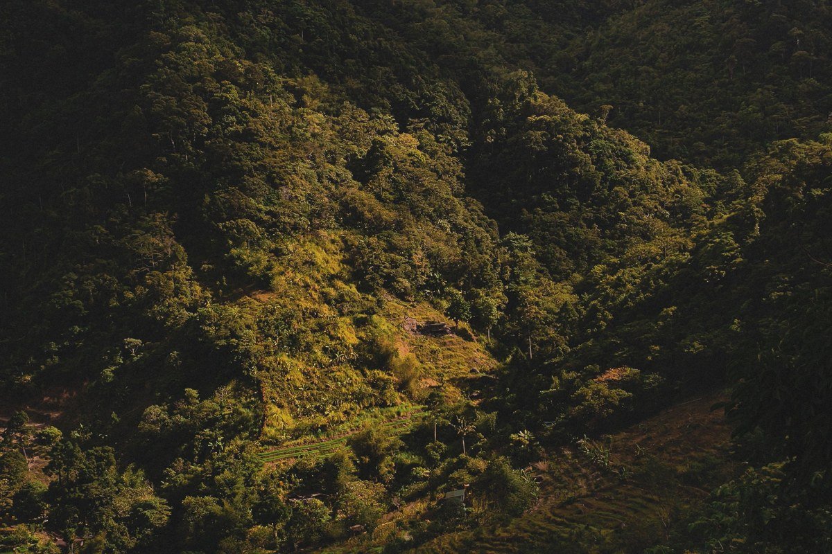 A raft dropping through a steep Class IV chute on the Naranjo's Cerro section, Pacific slope forest glowing yellow-green in the wet-season light, a zip-line platform visible on the canyon rim above the right bank