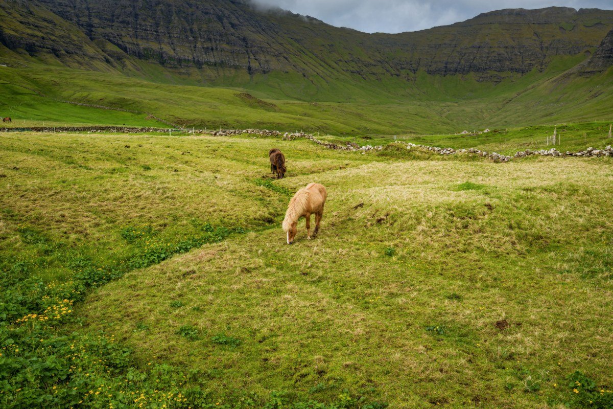 Oknadalur valley Faroe Islands aerial chevron field patterns green ridges
