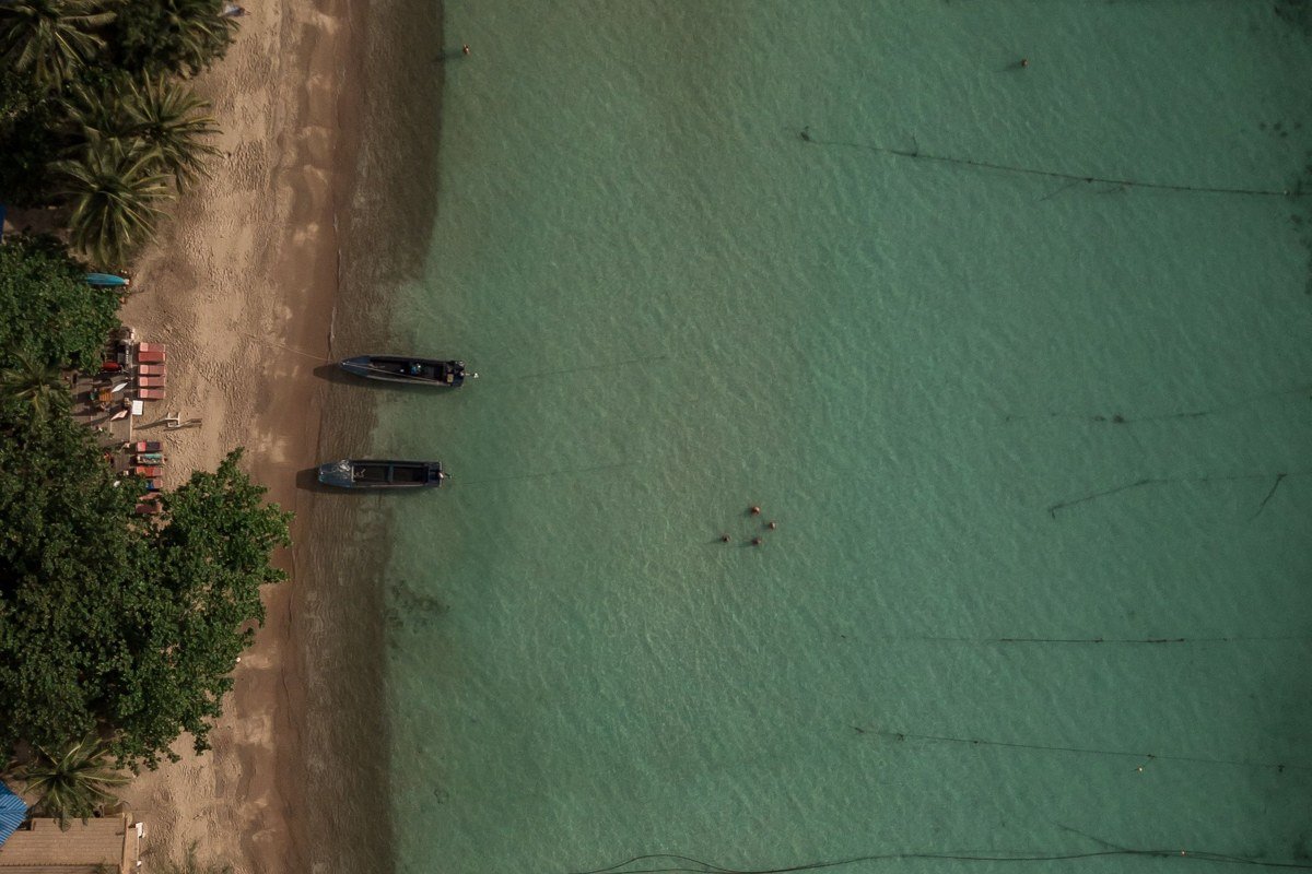 Erikousa main beach at mid-morning, long crescent of white sand in foreground, dense pine forest as backdrop, turquoise water shot from knee-height at the shoreline, no beach infrastructure visible, soft diffused light