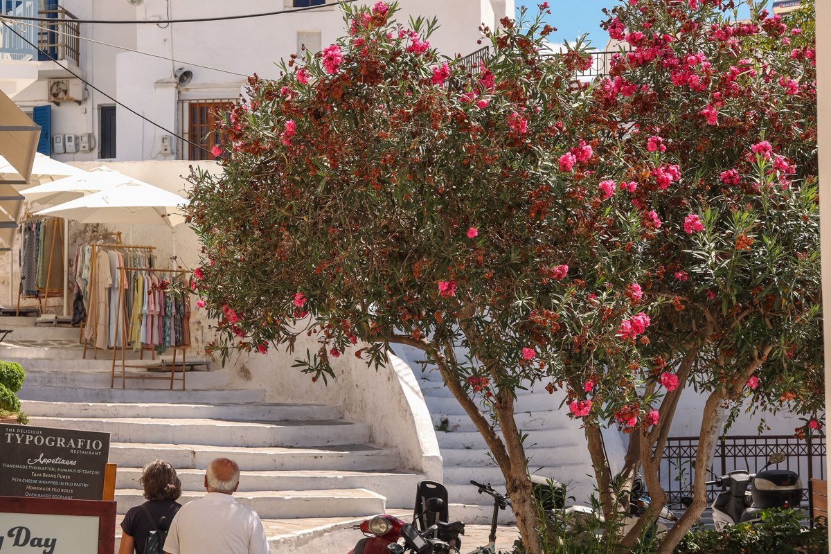 Donoussa Small Cyclades Greece tiny whitewashed harbor village turquoise bay secluded beach path