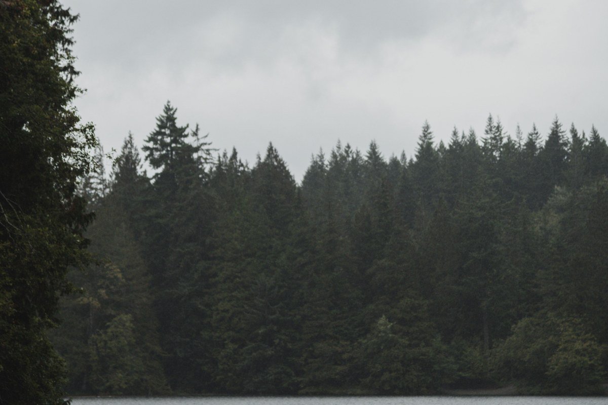misty Northeast lake at sunrise with wooden dock and pine forest reflection