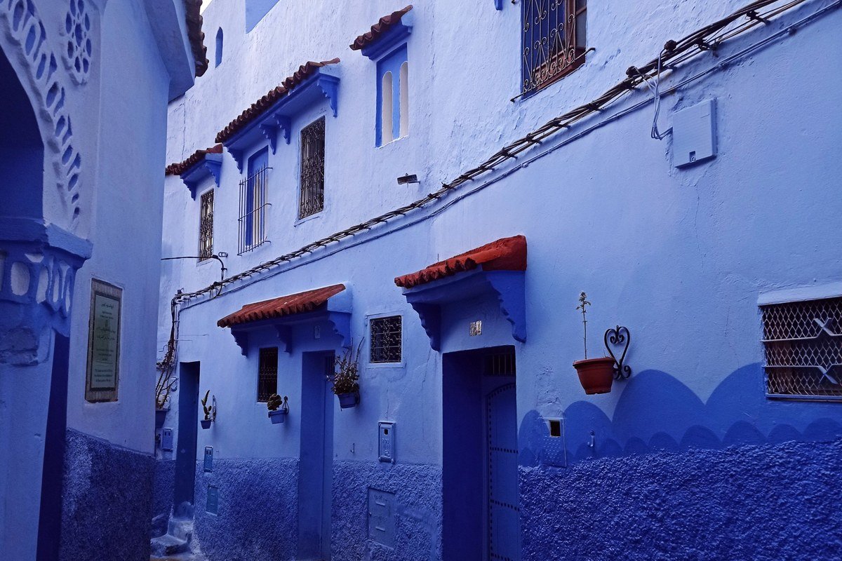 A narrow lane in Chefchaouen's medina at 7am, blue-painted walls in varying shades from cobalt to periwinkle, empty of tourists, morning light raking across the uneven plaster