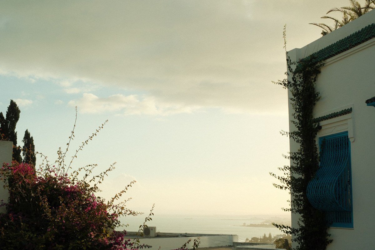 Sidi Bou Said's clifftop lane at mid-morning, a specific cobalt-blue door set into lime-washed white plaster, bougainvillea overhead, the Gulf of Tunis visible through the gap between buildings
