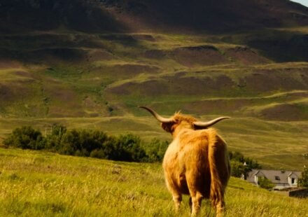 9 Misty Destinations in the Scottish Highlands That Are Only Photogenic in the Rain