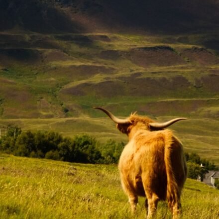 9 Misty Destinations in the Scottish Highlands That Are Only Photogenic in the Rain
