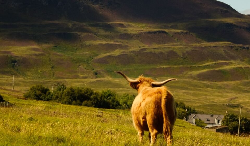 9 Misty Destinations in the Scottish Highlands That Are Only Photogenic in the Rain