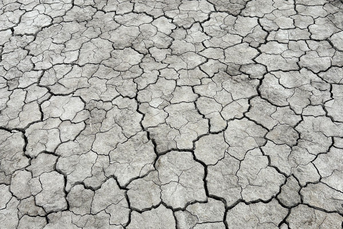 Colchani Bolivia salt flat entry cracked hexagon crust close-up dry season July low angle morning light