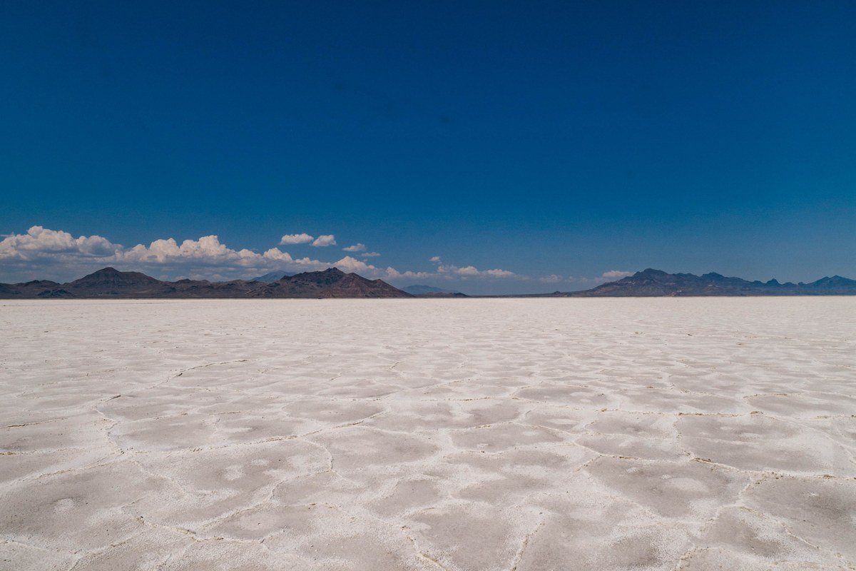 Atulcha southern shore Salar de Uyuni Bolivia flamingo lagoon James's flamingo volcanic backdrop wide open altiplano dry season morning