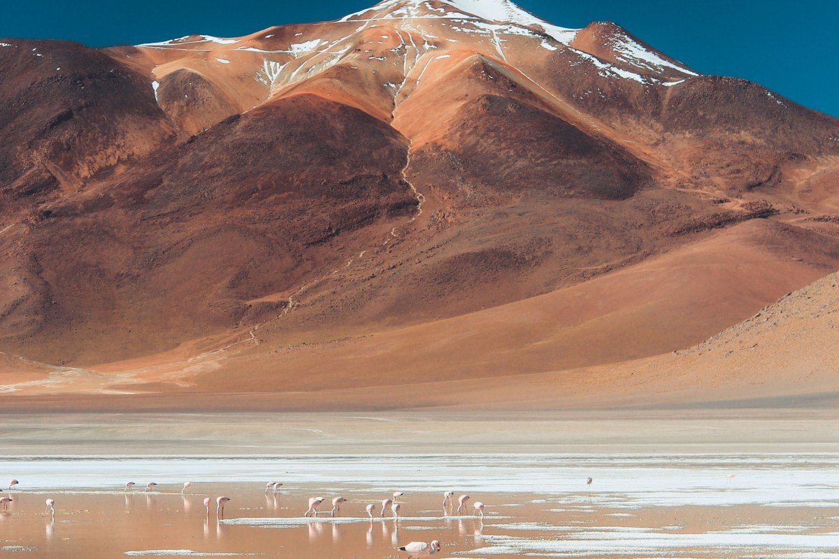 Salar de Uyuni Bolivia pre-dawn blue violet sky reflection salt flat long exposure