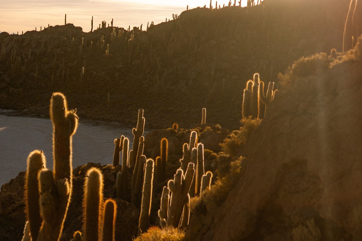 Salar de Uyuni Bolivia sunrise golden light salt crust texture long shadows dry