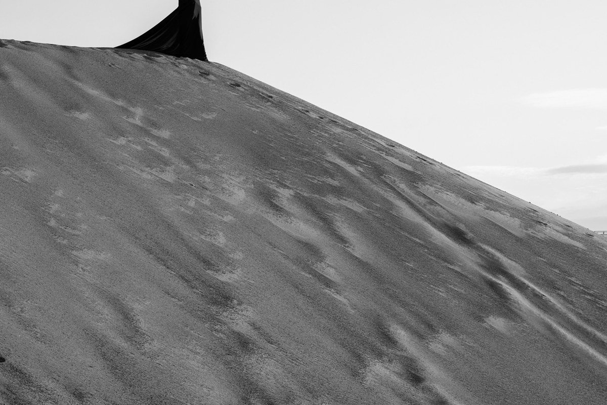 Sunset Point White Sands National Park dunes with long shadows and desert scrub silhouette