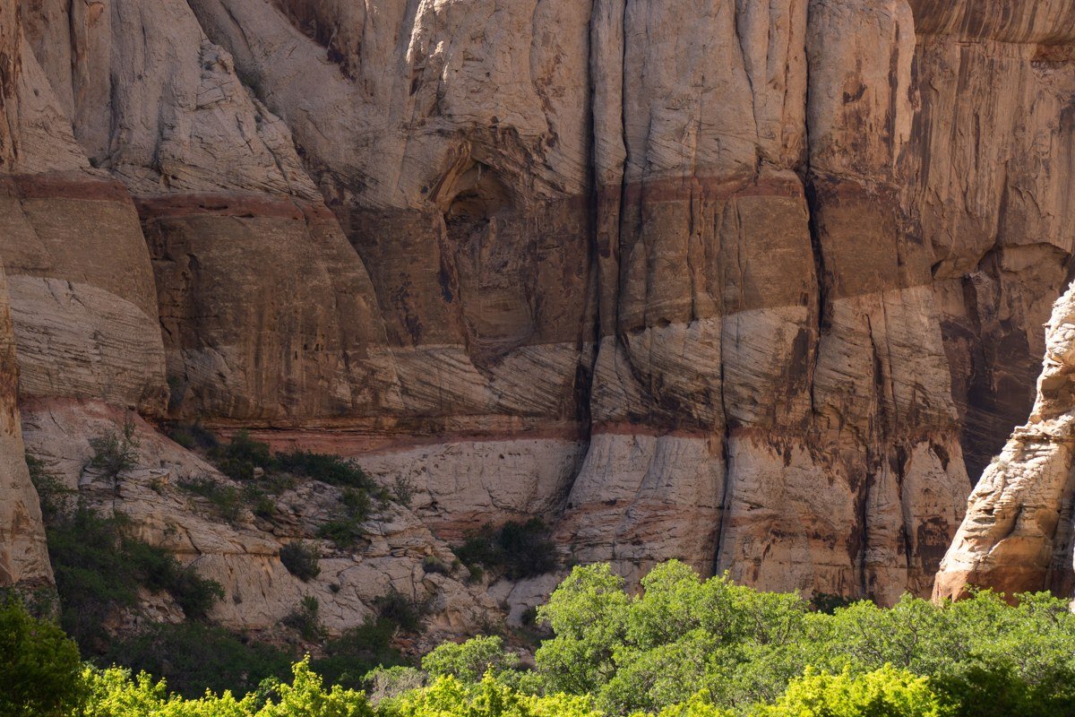 Capitol Reef Utah orange cliffs and historic orchard with fruit trees in Fruita