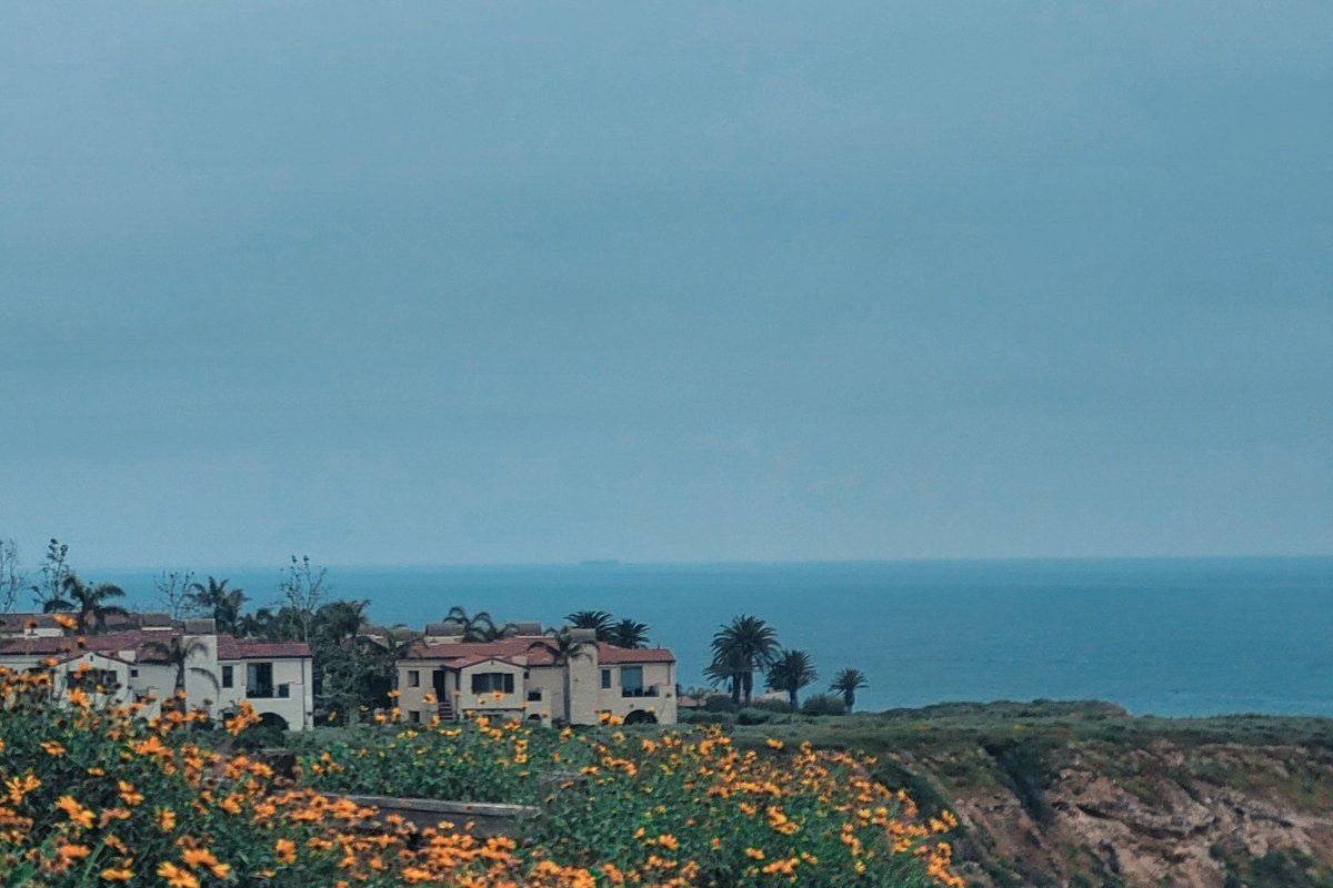 Garrapata State Park, California, coastal bluff trail with wildflowers above the Pacific Ocean. Photo credit: NPS/public domain equivalent placeholder