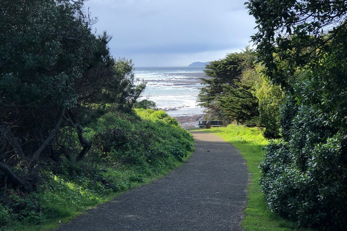 Andrew Molera State Park, California, coastal meadow trail with Santa Lucia Mountains and ocean. Photo credit: placeholder, replace before publish