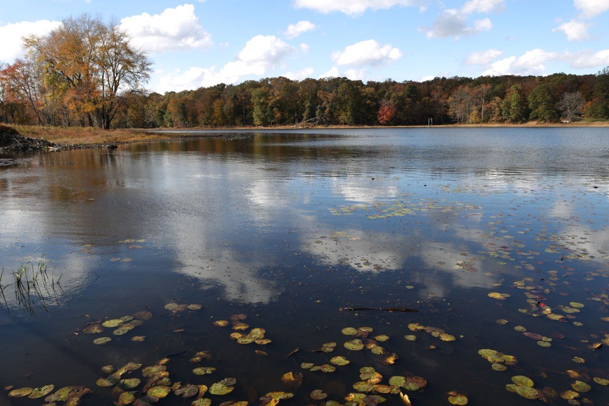 Kimberling City cove in November, limestone bluff reflection, still water, no boats